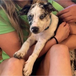 Meet your Posher, Patti